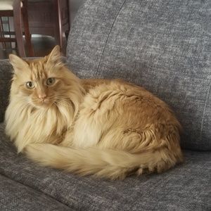 Meet your Posher, Claudine